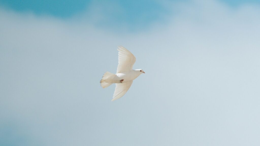 Første post ahmed nishaath 2eomv zj9gq unsplash